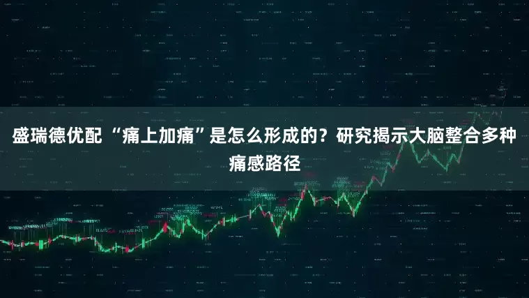 盛瑞德优配 “痛上加痛”是怎么形成的？研究揭示大脑整合多种痛感路径