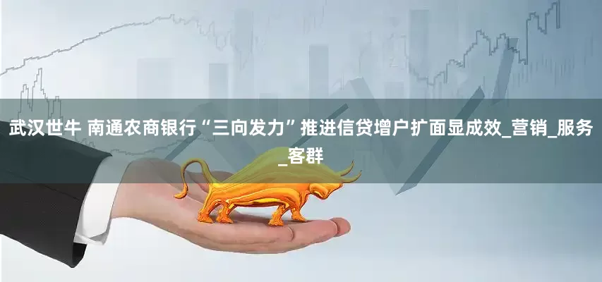 武汉世牛 南通农商银行“三向发力”推进信贷增户扩面显成效_营销_服务_客群