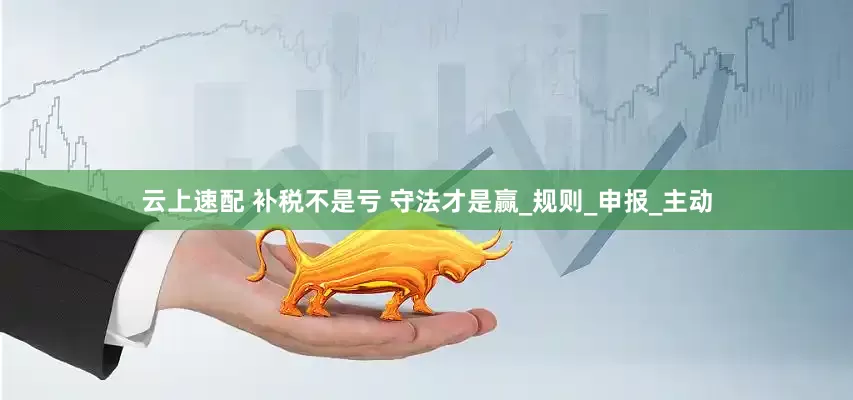 云上速配 补税不是亏 守法才是赢_规则_申报_主动