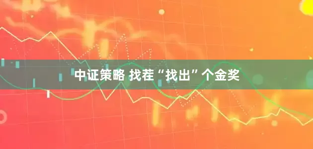 中证策略 找茬“找出”个金奖
