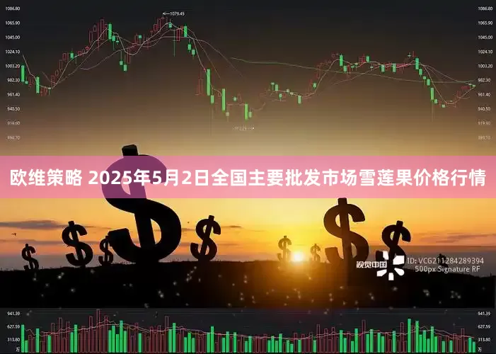 欧维策略 2025年5月2日全国主要批发市场雪莲果价格行情